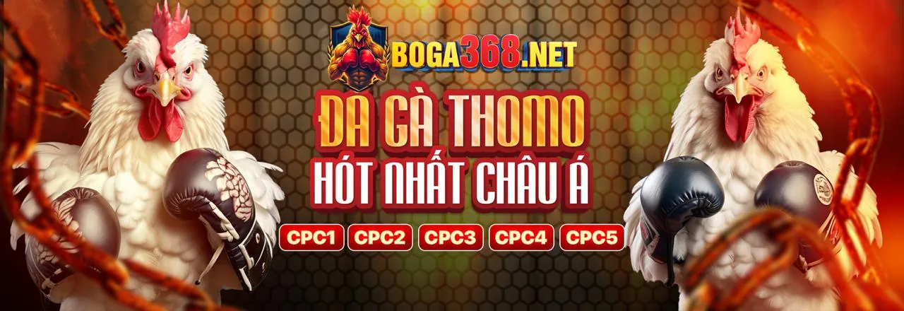 Đăng ký AOK88 để nhận ưu đãi 2026